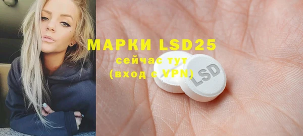 PSILOCYBIN Алзамай
