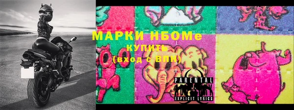 PSILOCYBIN Алзамай