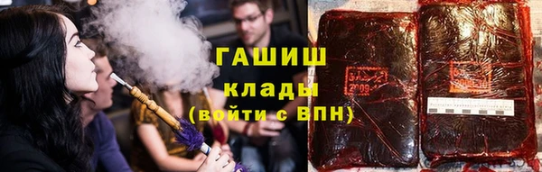 PSILOCYBIN Алзамай