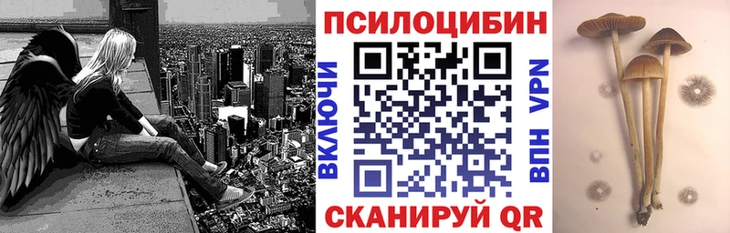 кракен зеркало  Моздок  маркетплейс официальный сайт  закладки  Псилоцибиновые грибы Psilocybine cubensis 