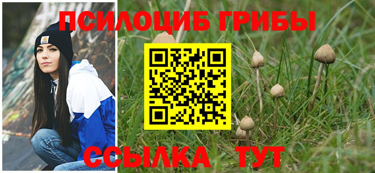 Галлюциногенные грибы Magic Shrooms Моздок