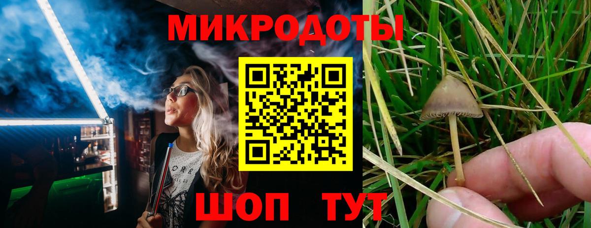 Псилоцибиновые грибы Psilocybine cubensis  Вход с VPN  закладка  Галлюциногенные грибы Psilocybe  Моздок 