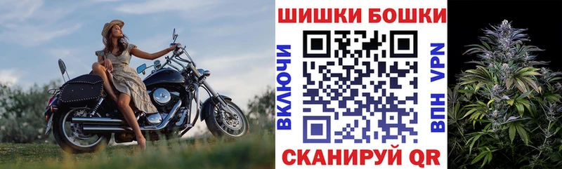 Бошки Шишки Amnesia  купить  сайты  Моздок 