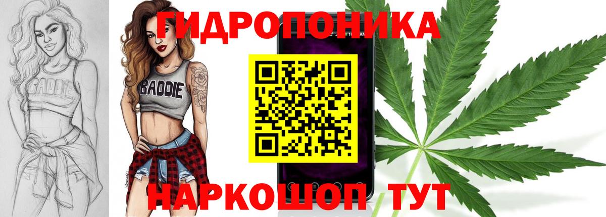 Бошки марихуана индика Моздок